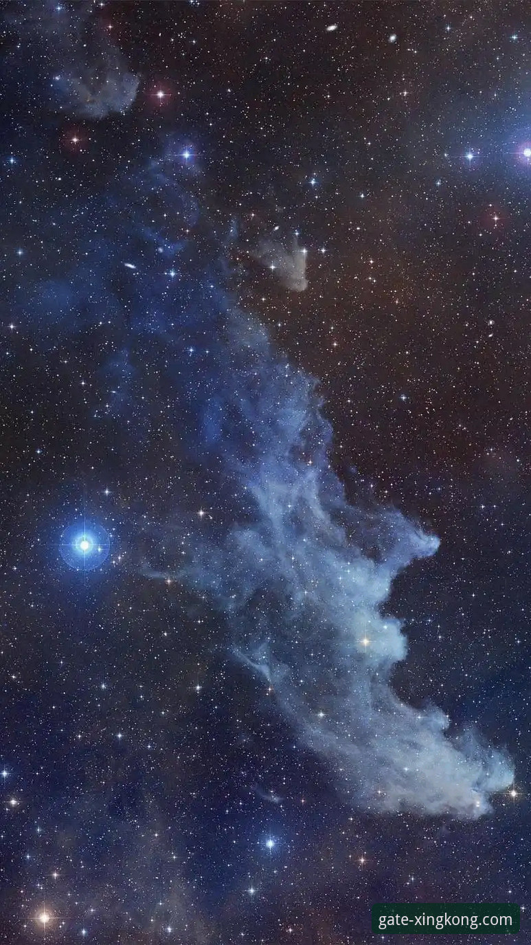 资深玩家亲测：星空入口手机版下载与使用全攻略