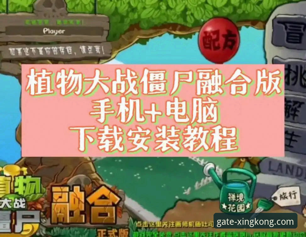 星空入口平台移动端官方下载与安装全流程操作教程