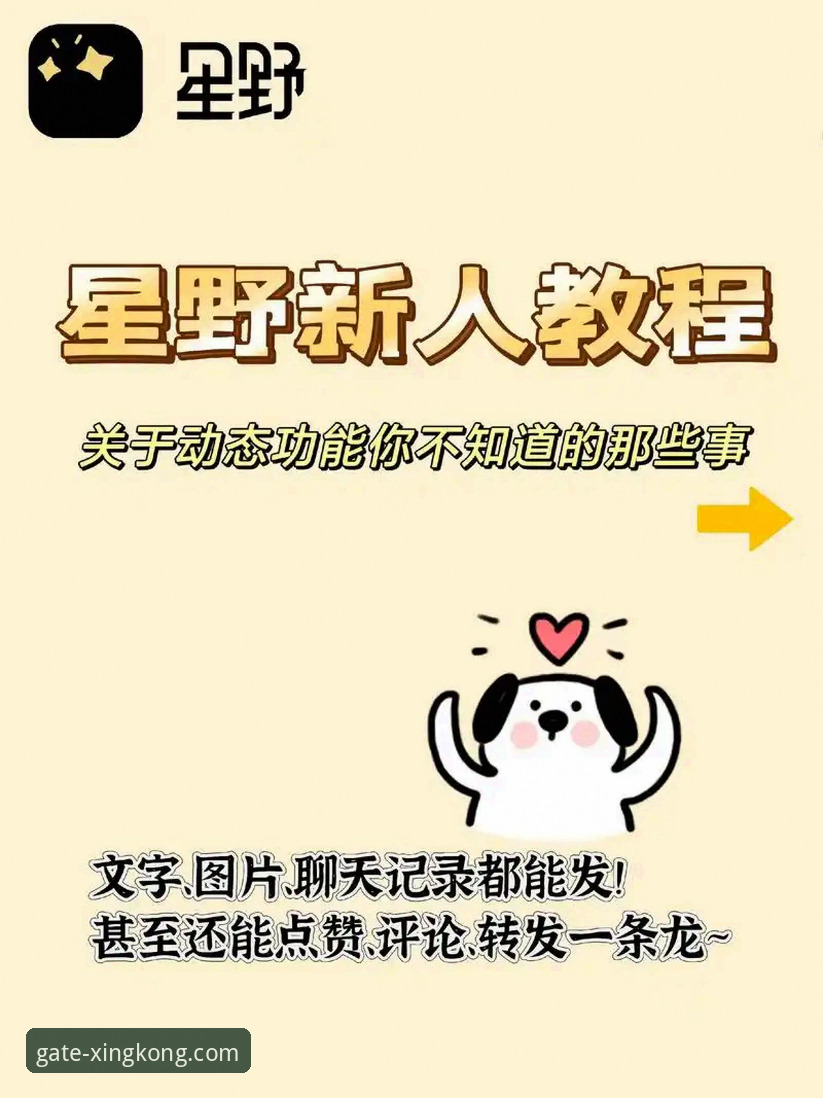 如何安全高效地获取星空入口官方移动端应用？