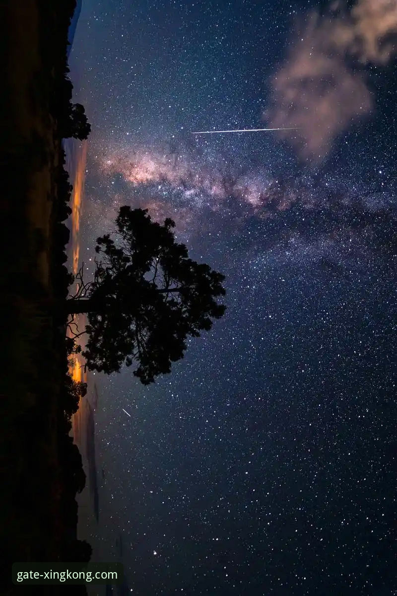 资深用户分享：在星空入口下载专区获取官方正版APP的完整实战经验