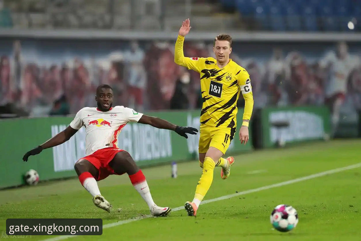 揭秘18岁新星赫扎尔哈尼：多特蒙德与布莱顿的长期博弈，星空入口平台带你深度解读